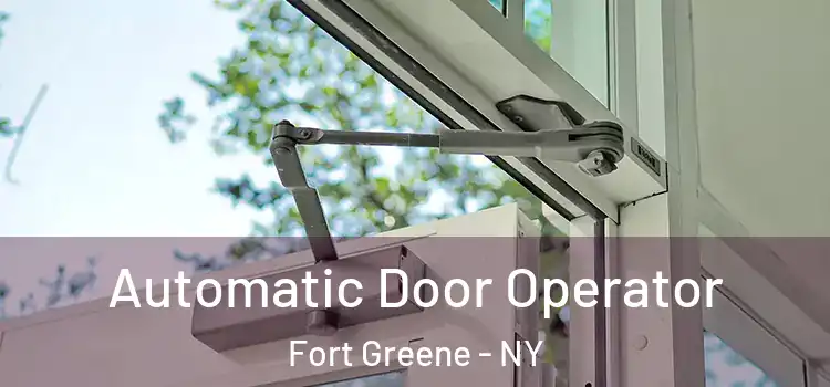 Automatic Door Operator Fort Greene - NY