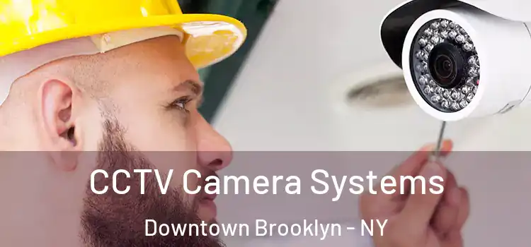 CCTV Camera Systems Downtown Brooklyn - NY