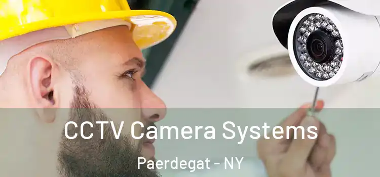 CCTV Camera Systems Paerdegat - NY
