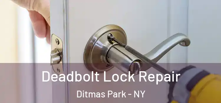  Deadbolt Lock Repair Ditmas Park - NY