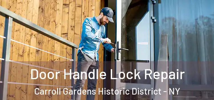 Door Handle Lock Repair Carroll Gardens Historic District - NY