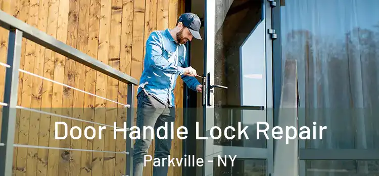Door Handle Lock Repair Parkville - NY