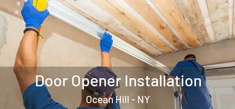  Door Opener Installation Ocean Hill - NY