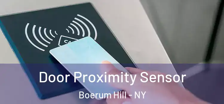 Door Proximity Sensor Boerum Hill - NY