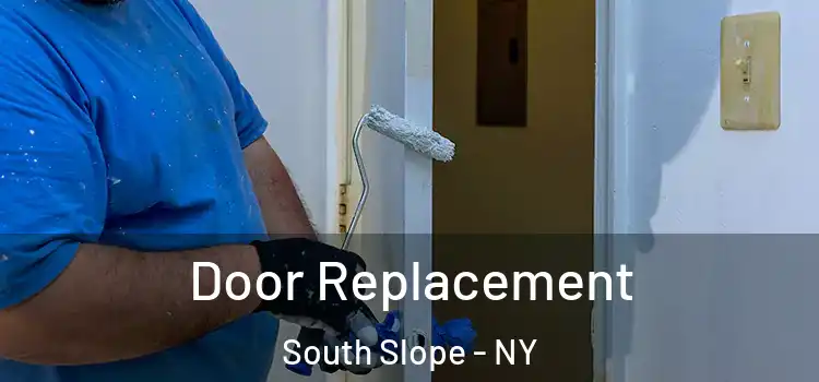Door Replacement South Slope - NY