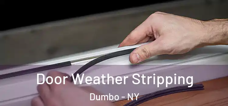  Door Weather Stripping Dumbo - NY