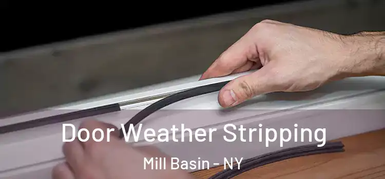 Door Weather Stripping Mill Basin - NY