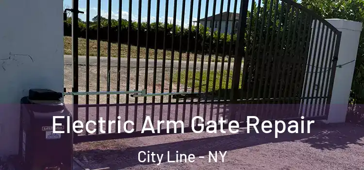 Electric Arm Gate Repair City Line - NY