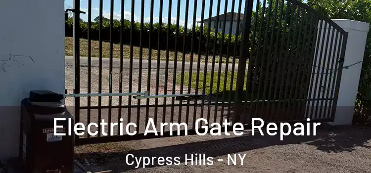 Electric Arm Gate Repair Cypress Hills - NY