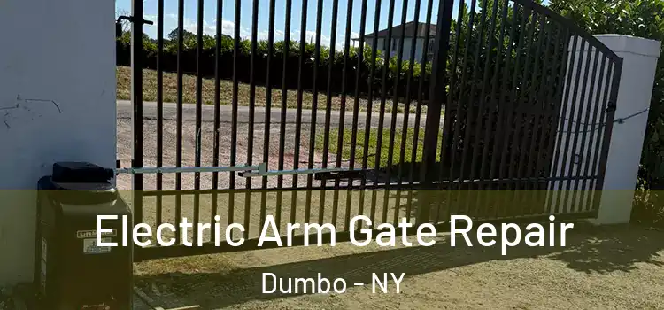 Electric Arm Gate Repair Dumbo - NY