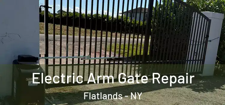 Electric Arm Gate Repair Flatlands - NY