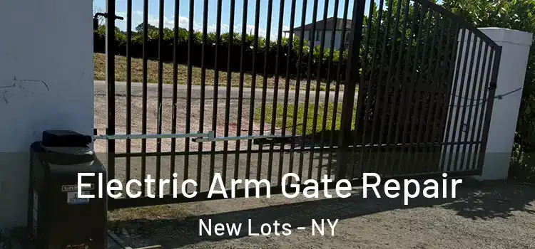 Electric Arm Gate Repair New Lots - NY