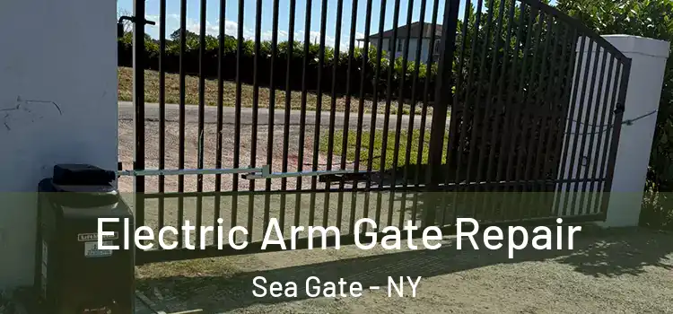 Electric Arm Gate Repair Sea Gate - NY