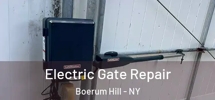 Electric Gate Repair Boerum Hill - NY