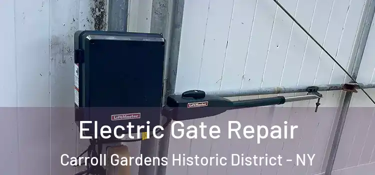 Electric Gate Repair Carroll Gardens Historic District - NY