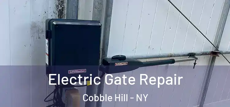 Electric Gate Repair Cobble Hill - NY
