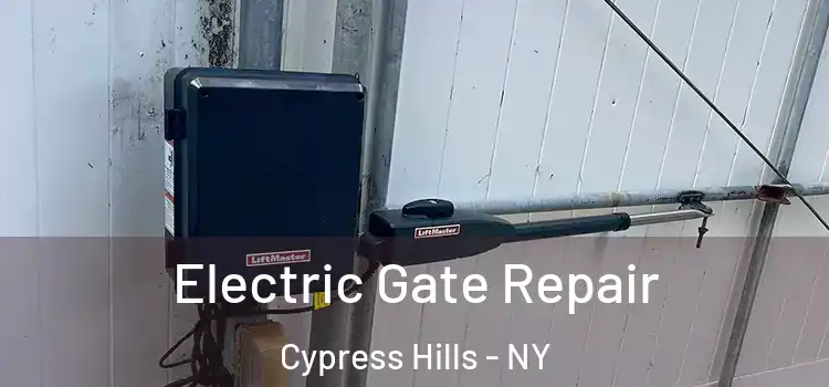 Electric Gate Repair Cypress Hills - NY
