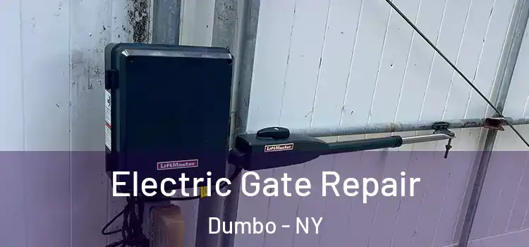 Electric Gate Repair Dumbo - NY