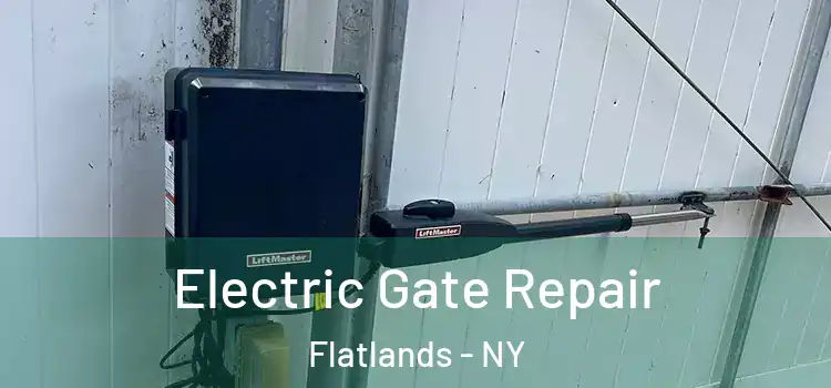 Electric Gate Repair Flatlands - NY