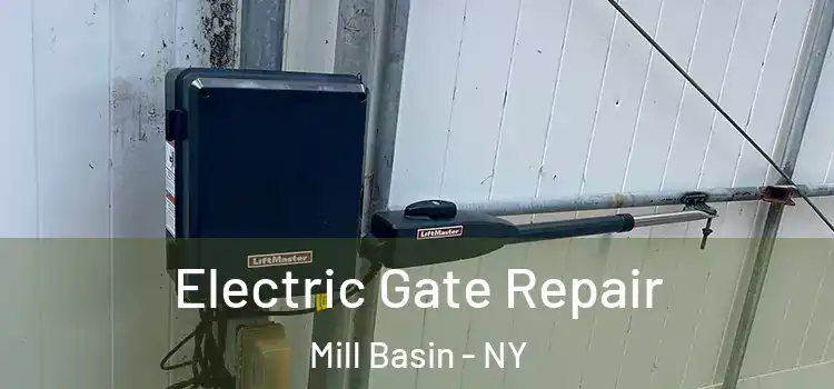 Electric Gate Repair Mill Basin - NY