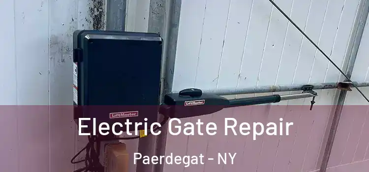 Electric Gate Repair Paerdegat - NY