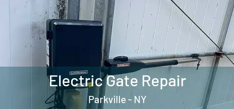 Electric Gate Repair Parkville - NY