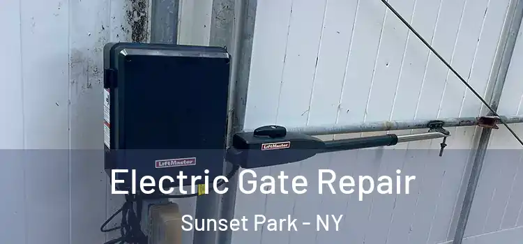  Electric Gate Repair Sunset Park - NY