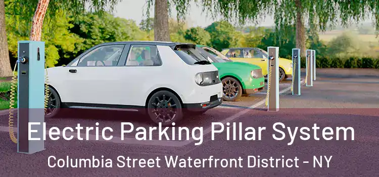 Electric Parking Pillar System Columbia Street Waterfront District - NY