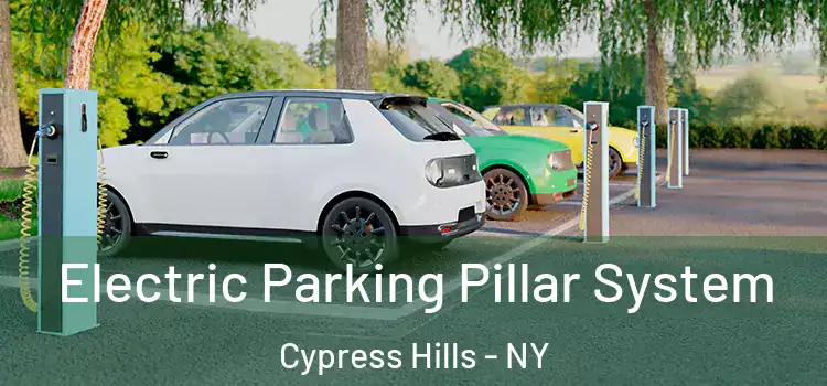 Electric Parking Pillar System Cypress Hills - NY