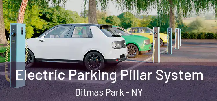 Electric Parking Pillar System Ditmas Park - NY
