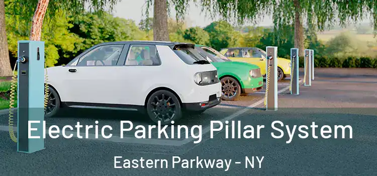 Electric Parking Pillar System Eastern Parkway - NY