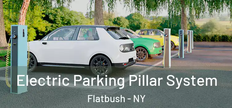  Electric Parking Pillar System Flatbush - NY