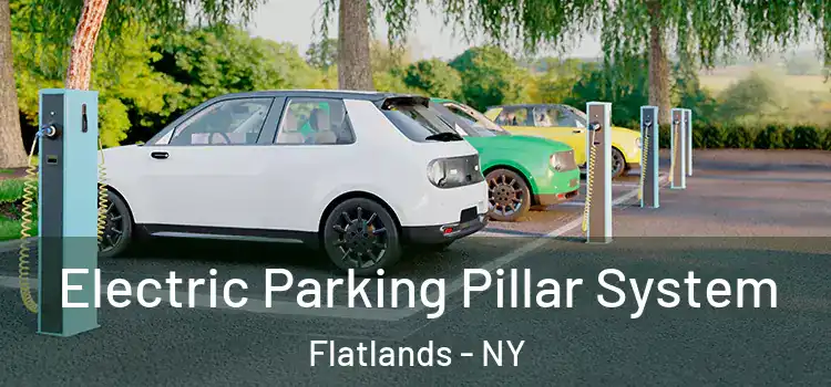 Electric Parking Pillar System Flatlands - NY