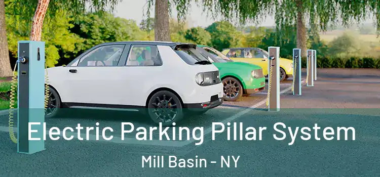 Electric Parking Pillar System Mill Basin - NY