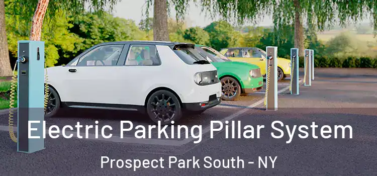  Electric Parking Pillar System Prospect Park South - NY