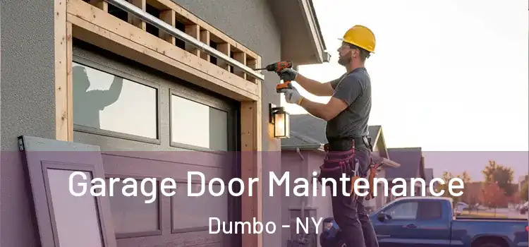 Garage Door Maintenance Dumbo - NY