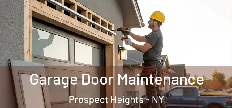 Garage Door Maintenance Prospect Heights - NY