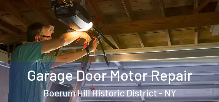  Garage Door Motor Repair Boerum Hill Historic District - NY