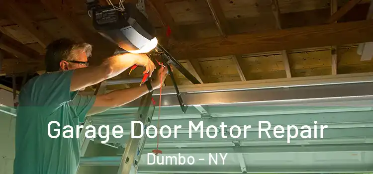  Garage Door Motor Repair Dumbo - NY