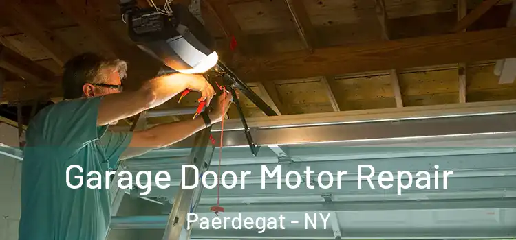  Garage Door Motor Repair Paerdegat - NY