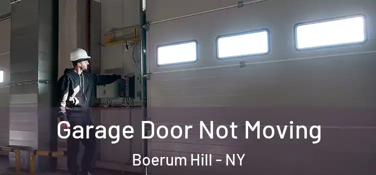  Garage Door Not Moving Boerum Hill - NY