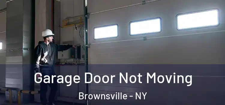  Garage Door Not Moving Brownsville - NY
