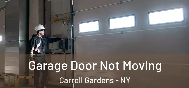  Garage Door Not Moving Carroll Gardens - NY