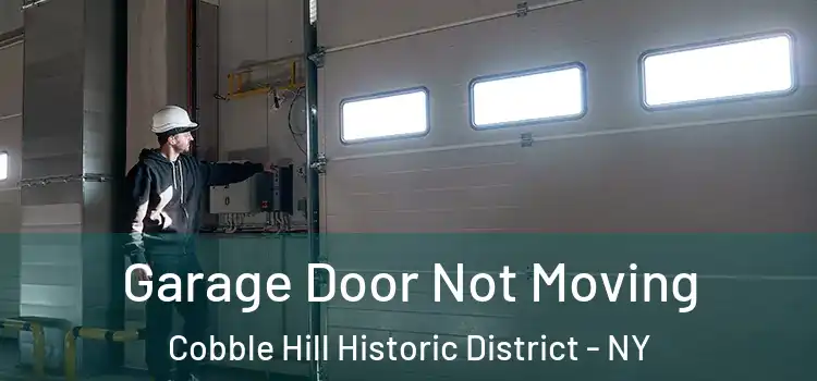  Garage Door Not Moving Cobble Hill Historic District - NY