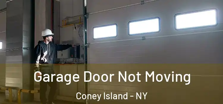  Garage Door Not Moving Coney Island - NY