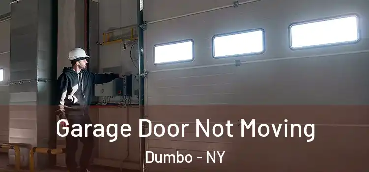  Garage Door Not Moving Dumbo - NY