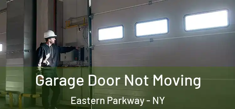  Garage Door Not Moving Eastern Parkway - NY