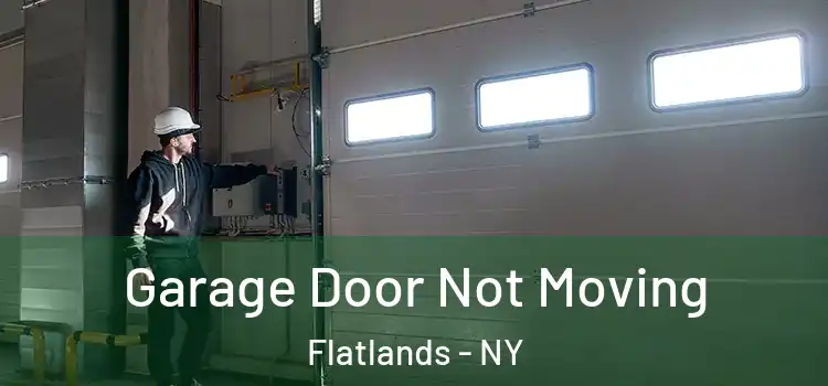  Garage Door Not Moving Flatlands - NY
