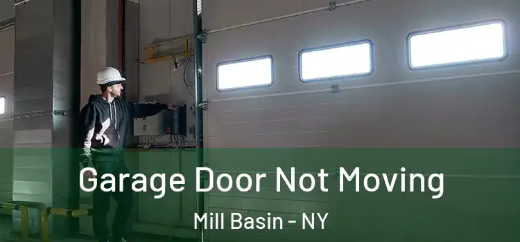  Garage Door Not Moving Mill Basin - NY