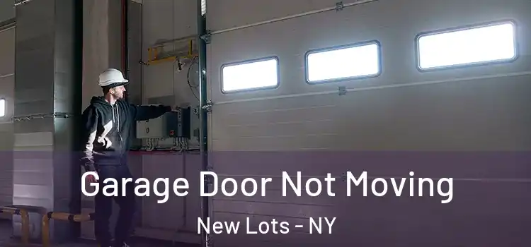  Garage Door Not Moving New Lots - NY